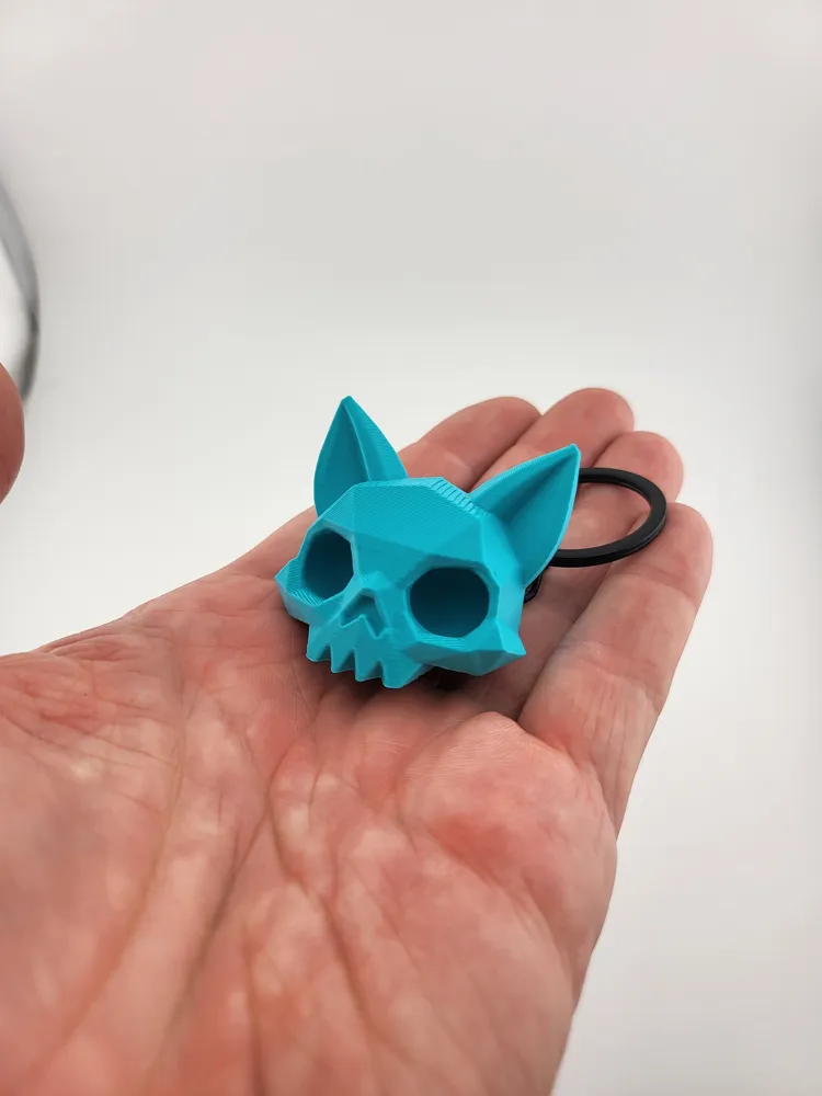 skull cat decor key game room thumbnail 2