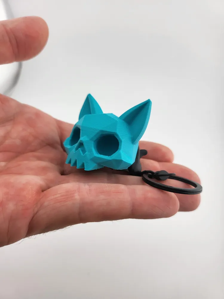 skull cat decor key game room thumbnail 4