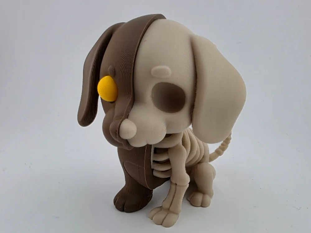 Half Dog Half Skeleton Cute & Creepy Pet Model