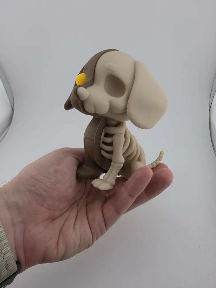Half Dog Half Skeleton Cute & Creepy Pet Model thumbnail 2