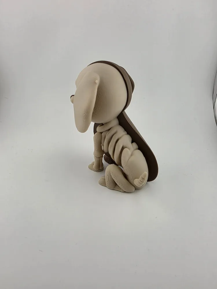 Half Dog Half Skeleton Cute & Creepy Pet Model thumbnail 4