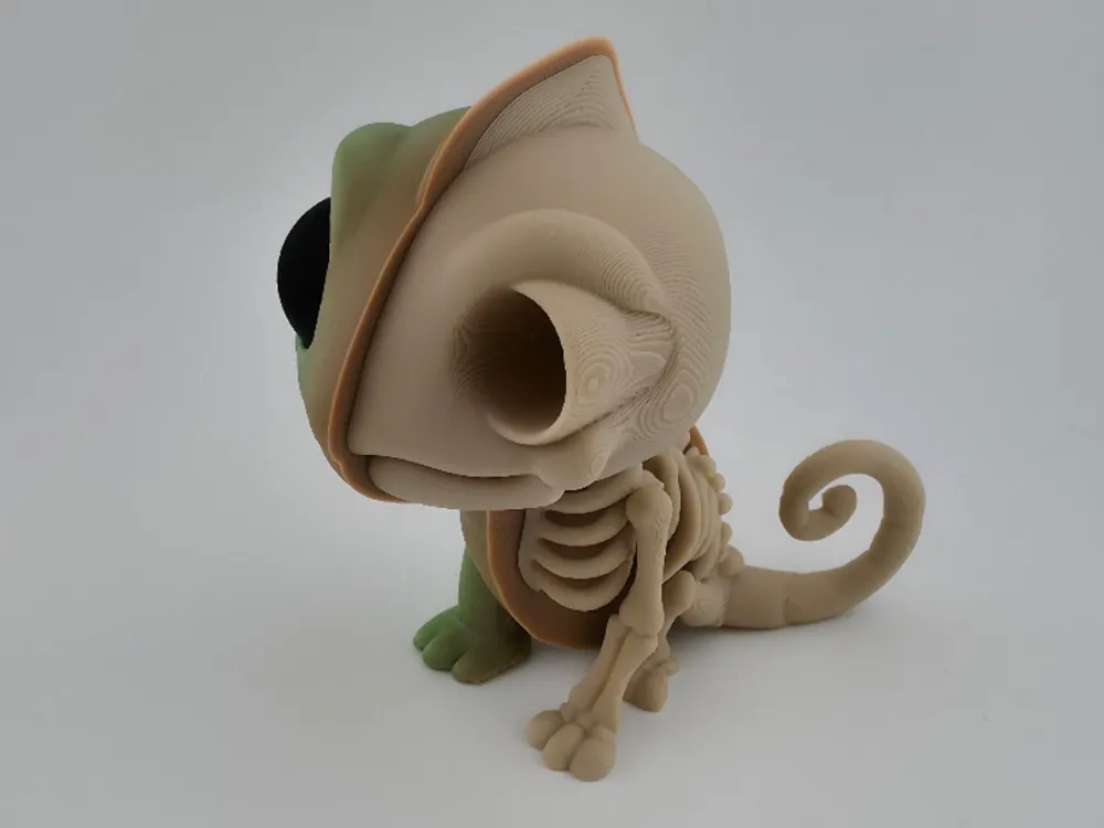 Half Chameleon Half Skeleton – Stylized Reptile