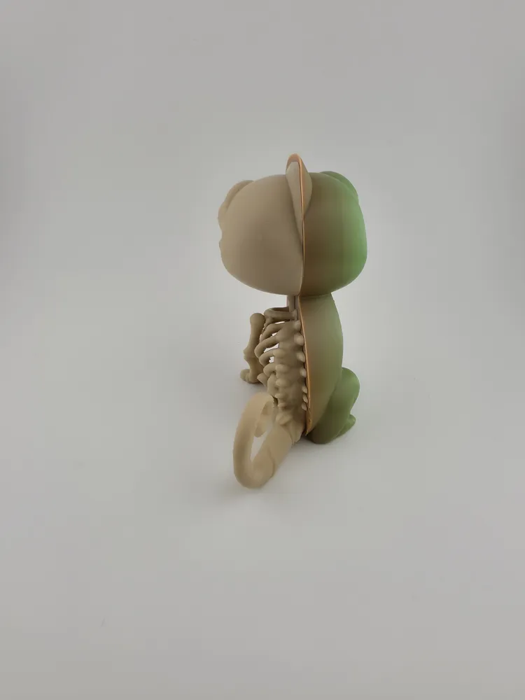 Half Chameleon Half Skeleton – Stylized Reptile thumbnail 3