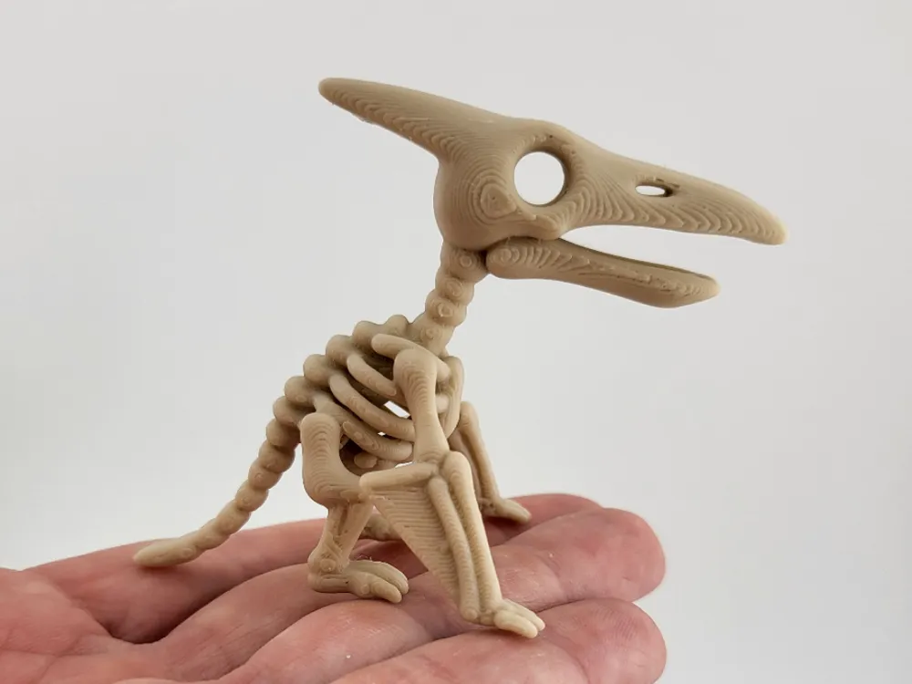 Pterosaur Skeleton Keychain Prehistoric keyring