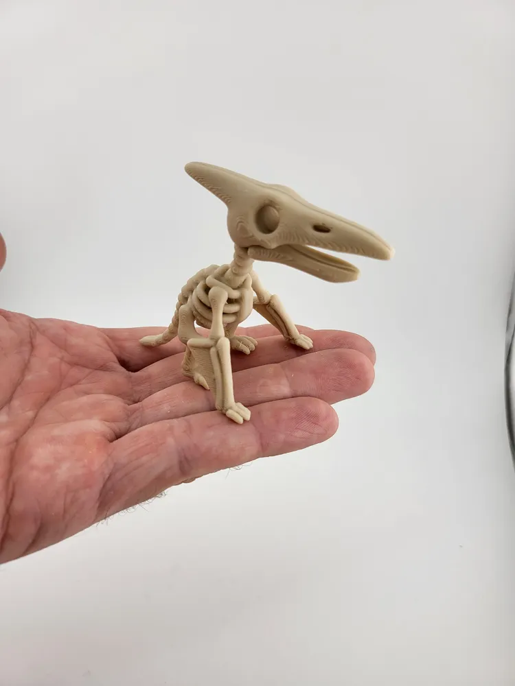 Pterosaur Skeleton Keychain Prehistoric keyring thumbnail 2