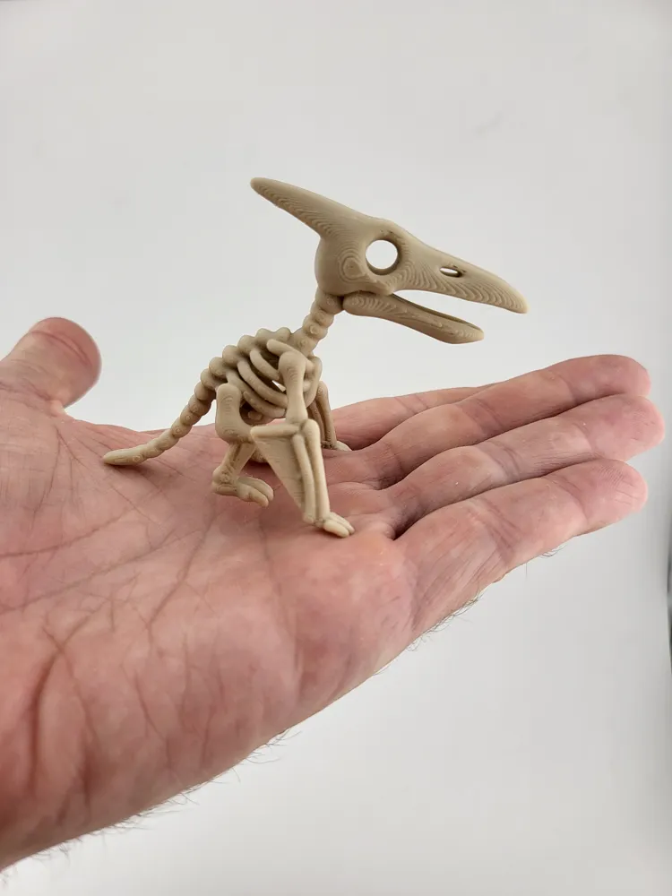Pterosaur Skeleton Keychain Prehistoric keyring thumbnail 3