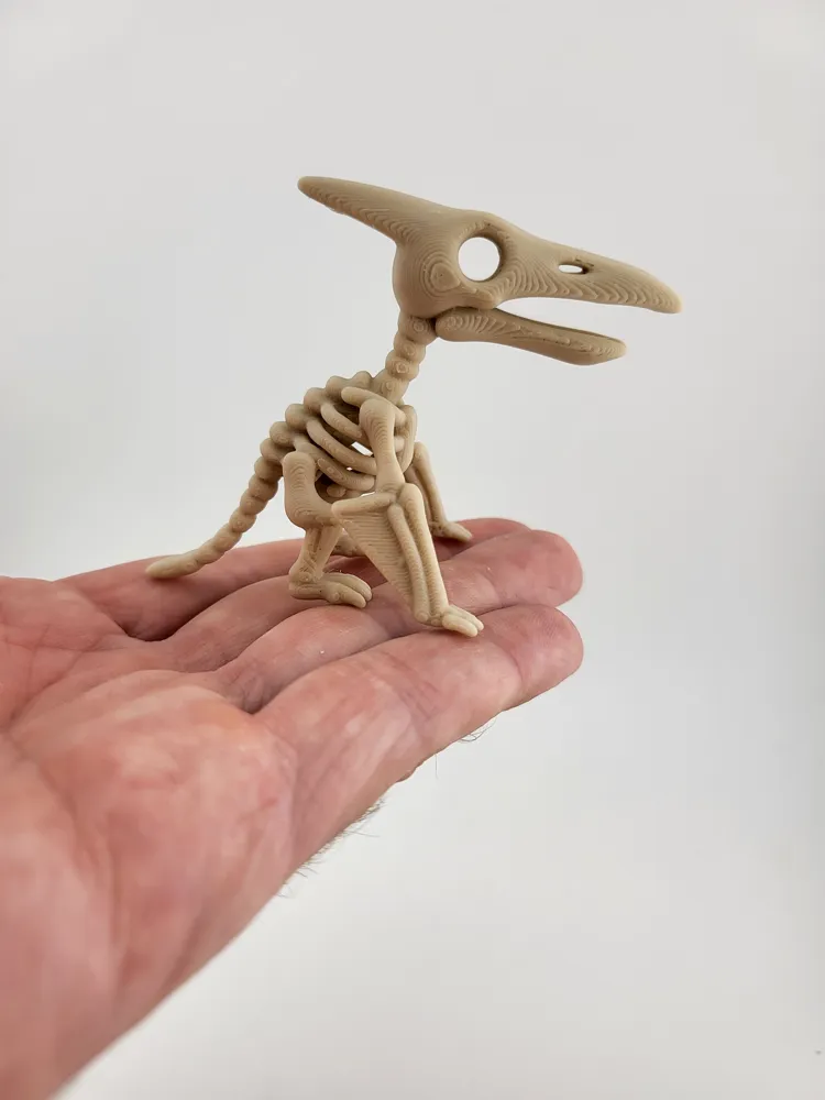 Pterosaur Skeleton Keychain Prehistoric keyring thumbnail 4